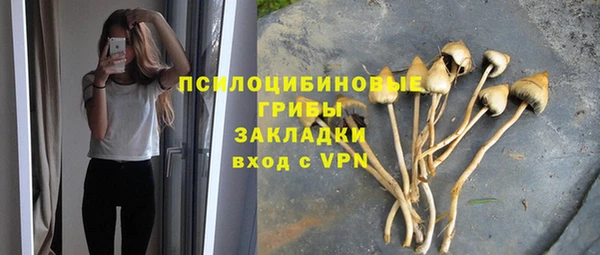 таблы Инсар